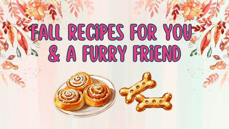 Fall Recipes for You & a Furry Friend